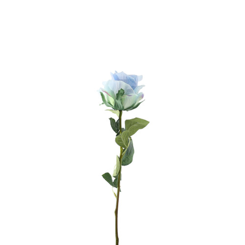 Essential Garden Rose - Tonal Ice Blue