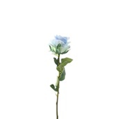 Essential Garden Rose - Tonal Ice Blue