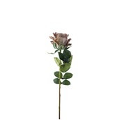 Essential Garden Rose - Vintage Taupe