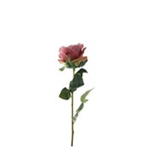 Essential Garden Rose - Vintage  Dusky Pink