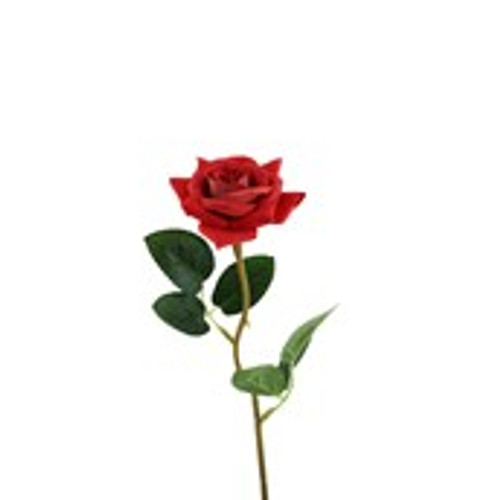Essential Rose - Red