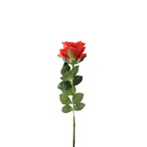 Essential Garden Rose - Red