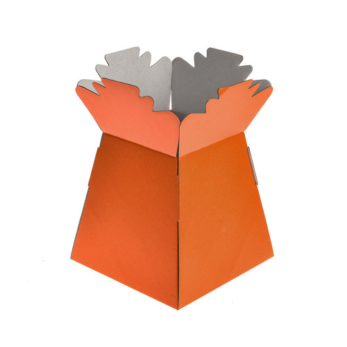 Living Vase Orange X30