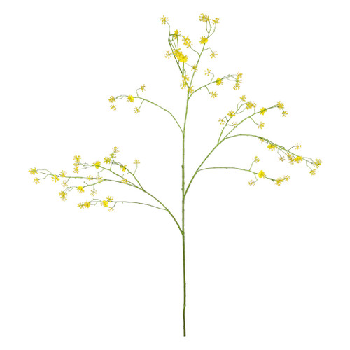 Cornus Mas Tree Flower - 123cm