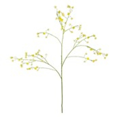 Cornus Mas Tree Flower - 123cm