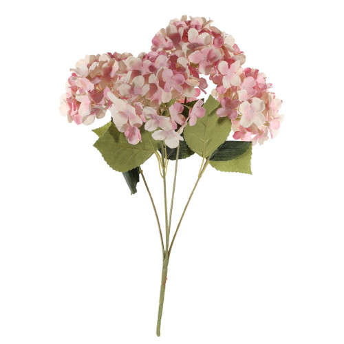 Essential Hydrangea Bush -  Pink