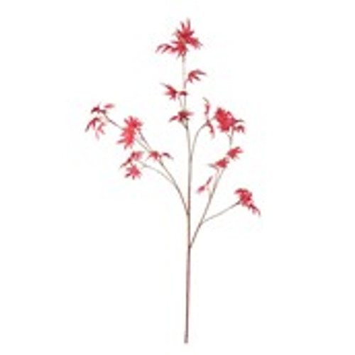 Maple Leaf - 116cm