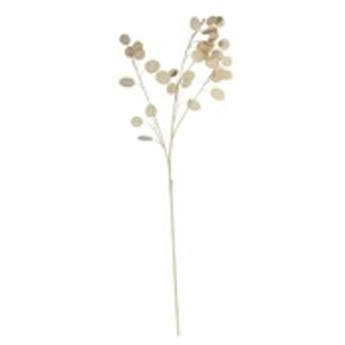 Silver Dollar - 105cm