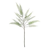 Fern Leaf - 162cm