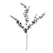 Eucalyptus Spray - 105cm