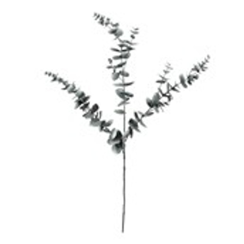 Eucalyptus Spray - 105cm