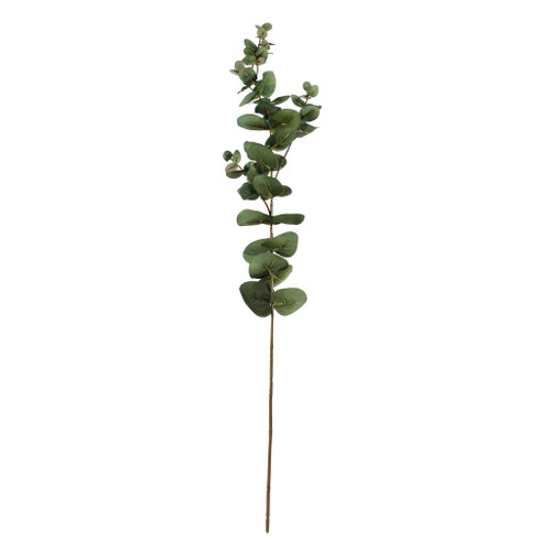 Eucalyptus Spray - 75cm