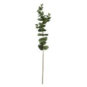 Eucalyptus Spray - 75cm