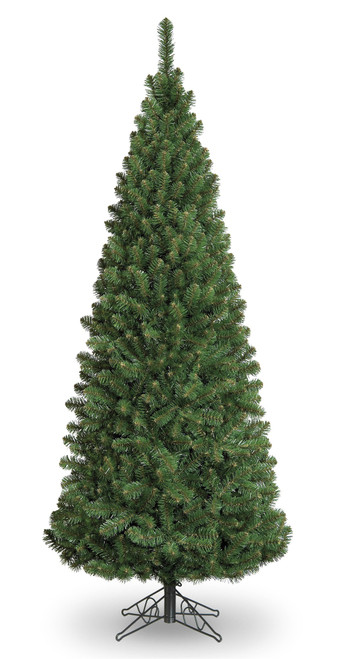 5ft Slim Glacier Fir Pencil 418Tp