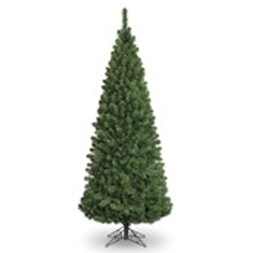 5ft Slim Glacier Fir Pencil 418Tp