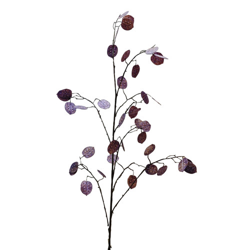 Silver Dollar Purple 141cm