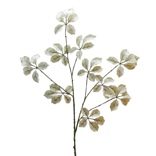 Leaf Cream 120cm