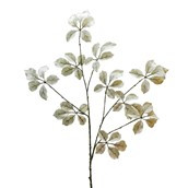 Leaf Cream 120cm