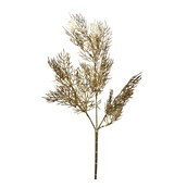 Fern Gold Stem - 50cm