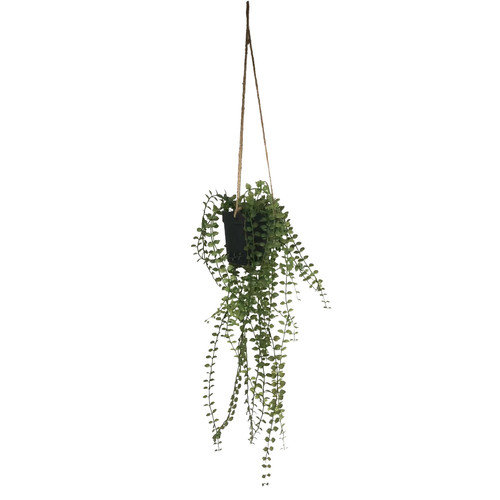 Botanica Mini Leaf Hanging plant - 50cm