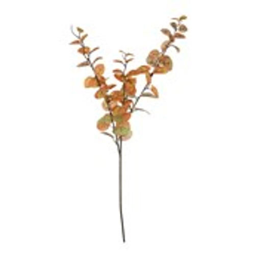 Essential Autumn Eucalyptus Stem - Orange / Green