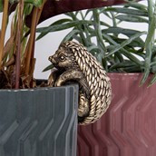 Plant Pot Pals Hedgehog