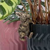 Plant Pot Pals Hare