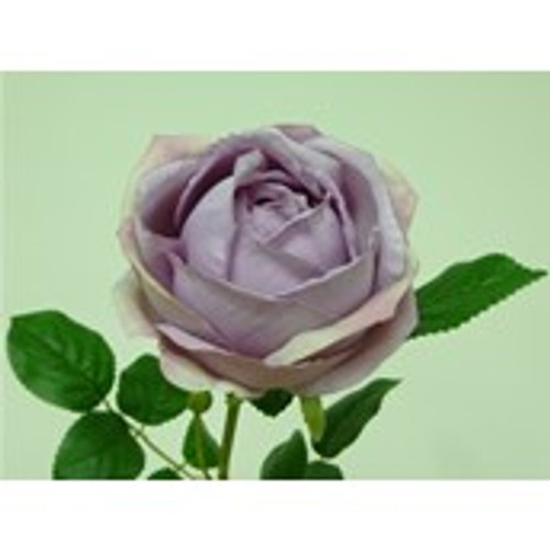63cm Rose Antique