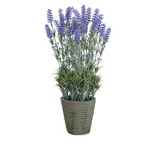 Potted Lavender in Cement Pot - 53cm