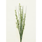 Mini Gyp Spray w Grass Cream