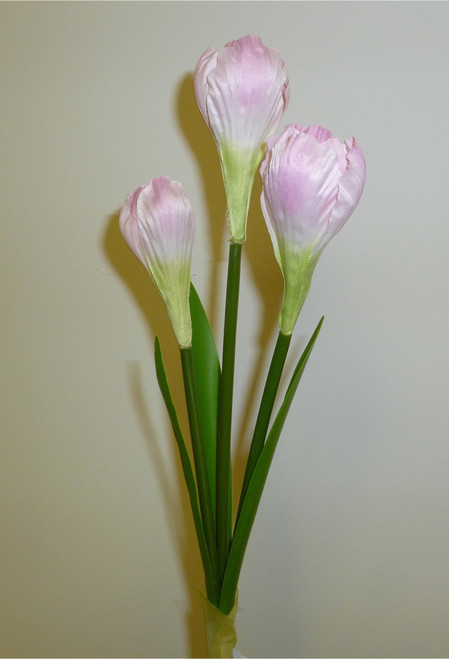 Crocus Spray x3 Pink