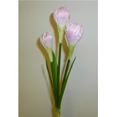 Crocus Spray x3 Pink
