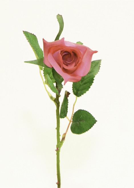 Single Rosebud Mauve