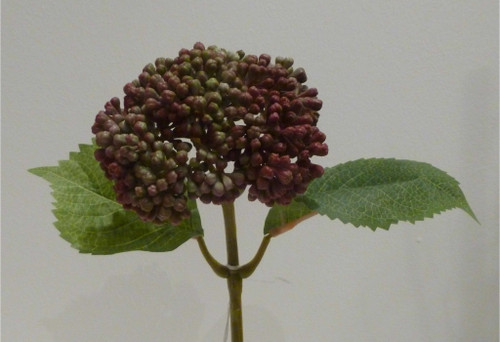 Berry Spray Burgundy