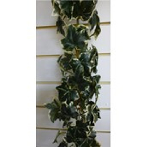 6' Chain Link Holland Ivy Garland