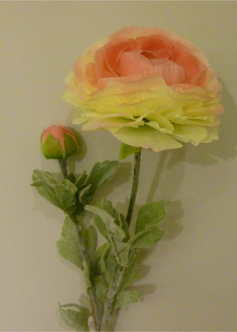 50cm Ranunculus Spray Pink