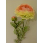 50cm Ranunculus Spray Pink