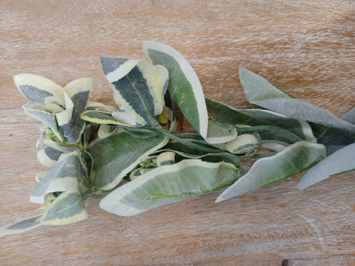64cm Flocked Euphorbia Spray