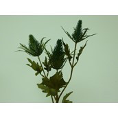 67cm Eryngium Spray x3 Blue/Green
