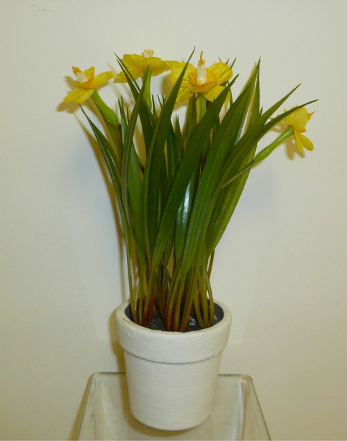 Daffodil Pot Yellow