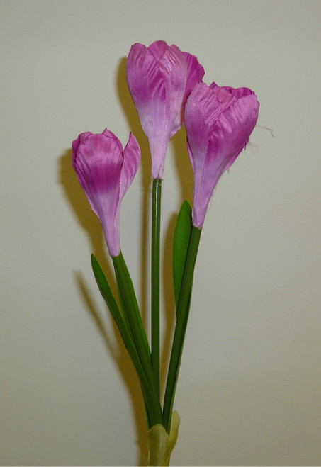 Crocus Spray x3 Hot Pink