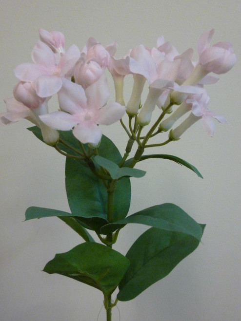 55cm Stephanotis Spray Pink