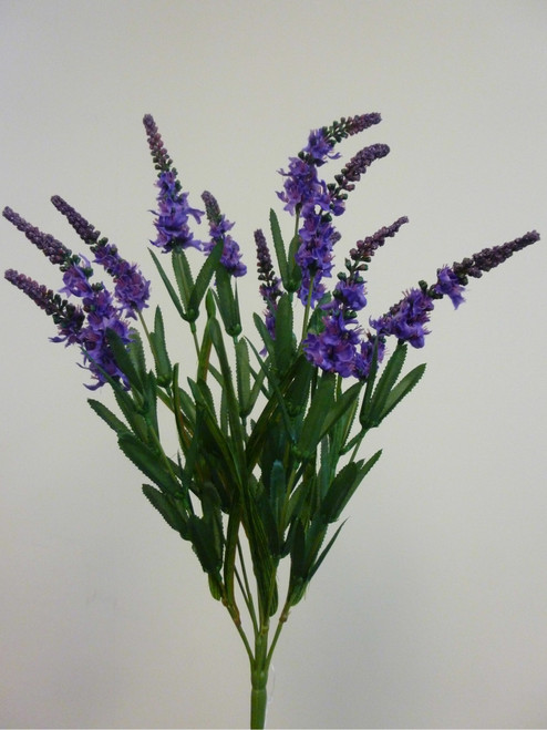53cm Lavender Bush x12 Lavender