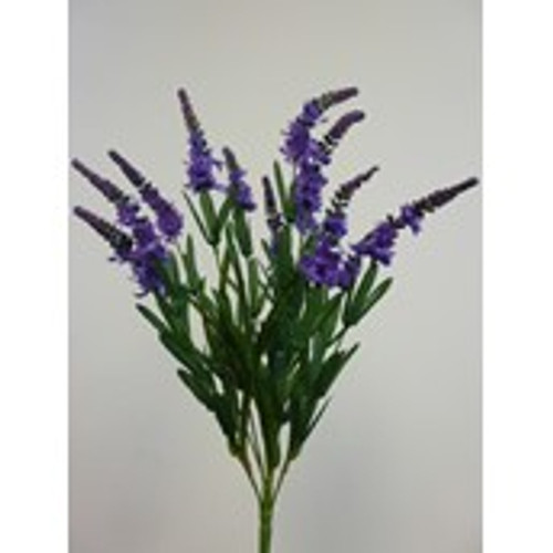 53cm Lavender Bush x12 Lavender