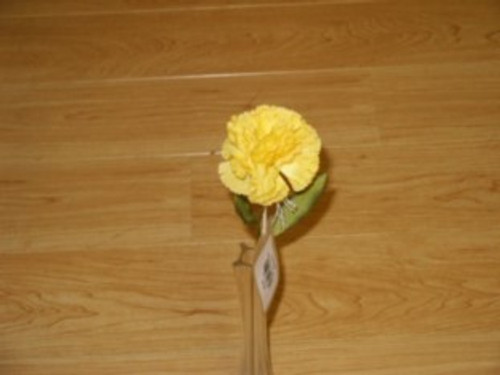 Carnation Dark Yellow