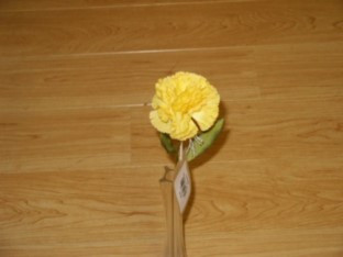 Carnation Dark Yellow