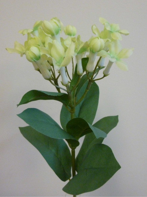 55cm Stephanotis Spray Lt Green
