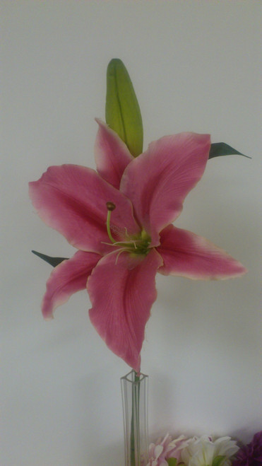 Mauve Casablanca Lily