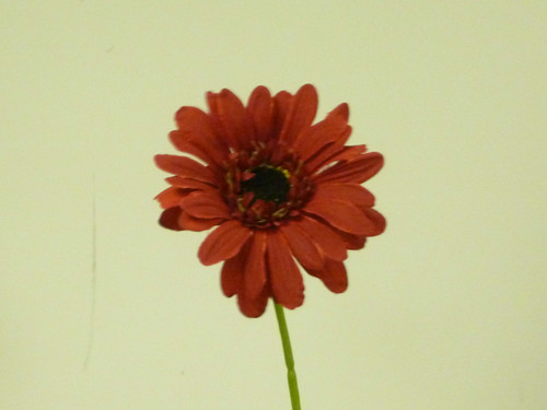 35cm Gerbera Red