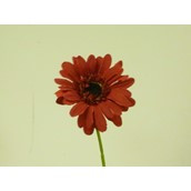 35cm Gerbera Red